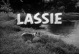 Lassie